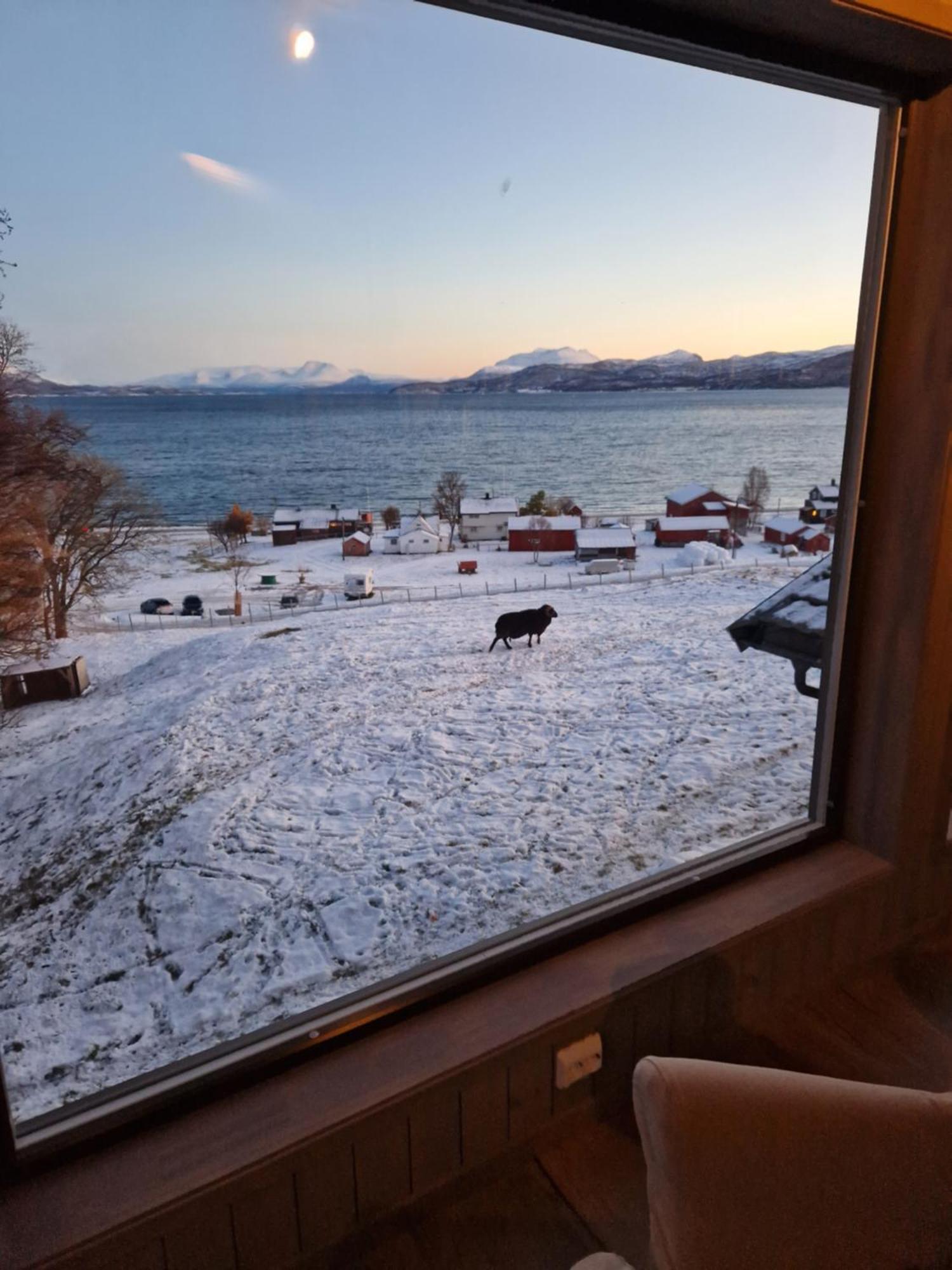 Yggdrasil Farmhotel Retreat, Spa & Yoga Straumsbukta エクステリア 写真