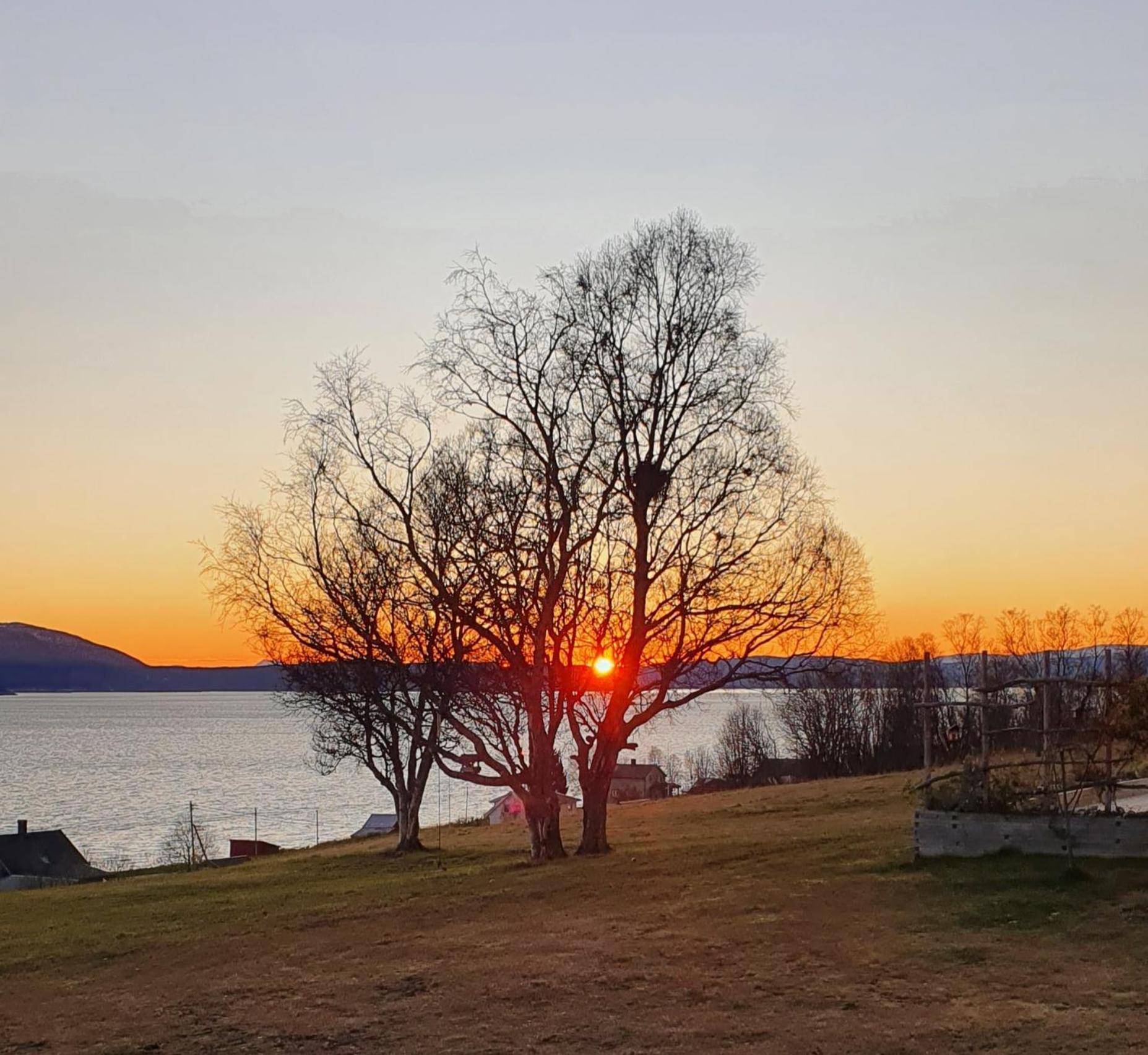 Yggdrasil Farmhotel Retreat, Spa & Yoga Straumsbukta エクステリア 写真