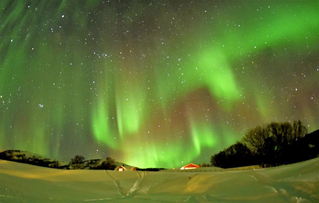 Yggdrasil Farmhotel Retreat, Spa & Yoga Straumsbukta エクステリア 写真