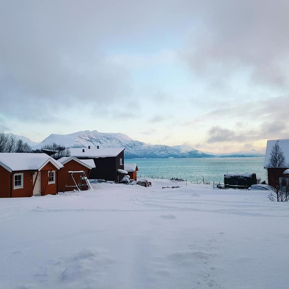 Yggdrasil Farmhotel Retreat, Spa & Yoga Straumsbukta エクステリア 写真